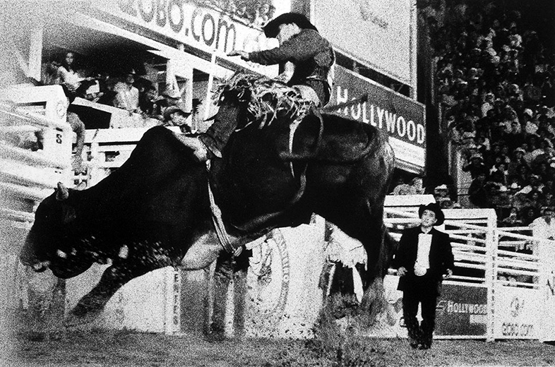 Festas Folclóricas